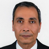 Dr. Mohamed El Deeb