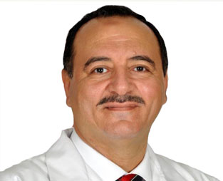 Dr. Sherief Hosny Ahmed